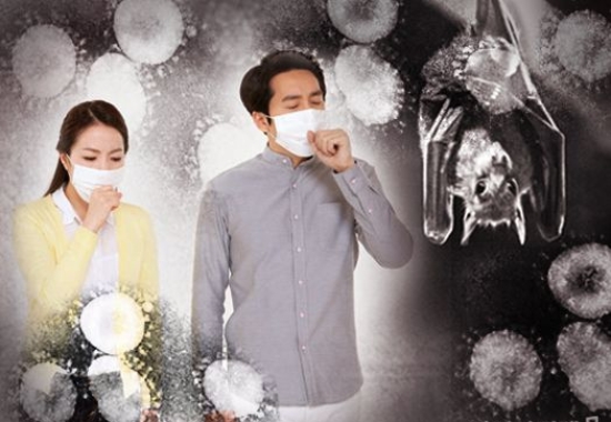 "박쥐·천산갑…코로나19 팬데믹 불렀다"