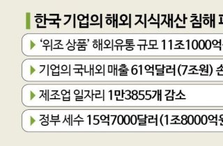 ‘韓기업’ 위조 상품 해외유통 ‘11조원’…“알고도 구매 59% 이상”