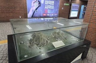 "왜 하필 광복절에?"…지하철 독도 조형물 잇달아 철거