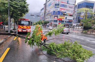 나무 쓰러지고 도로 잠기고 … 가을 호우에 ‘물폭탄’ 떨어진 경남