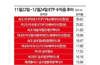 ETF 수익률 美 상위 '독차지'…'지속 상승 베팅' 개미 폭풍 순매수