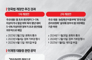 "목표는 쌀값 안정"…'남는 쌀 의무매입' 원점 재검토하나