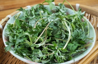 한국에선 아무데서나 '쑥쑥' 자라는 흔한 풀인데…중국·일본에선 '귀한 몸'