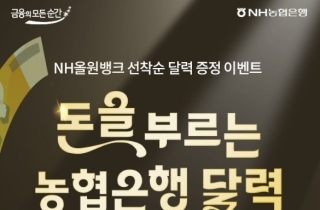 연말 은행에 대출보다 '00 구하기' 전쟁