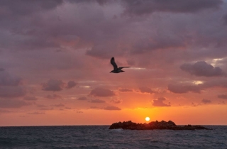 올해 돌아보니…우리 가족 "오구오구" 내 지갑은 "에구에구"