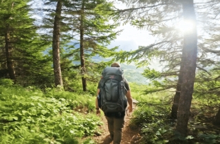 국내 여행 좀 다녀봤다고? 이 길은 처음일걸…'한국판 산티아고 순례길' 어디?