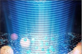 암 속에 '면역'을 심다…면역 오아시스가 암을 죽인다