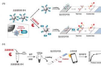 아주대 연구팀, '질병 진단키트' 개발… '프로테아제' 검출 기술 발견