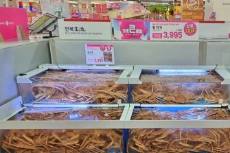 롯데마트 "활 대게 반값"…창립 기념 수산물 할인 행사