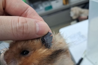 "寃쎌같 븞 臾댁꽠떎" 뻹뒪꽣 븰 옣硫 깮以묎퀎븳 궓꽦