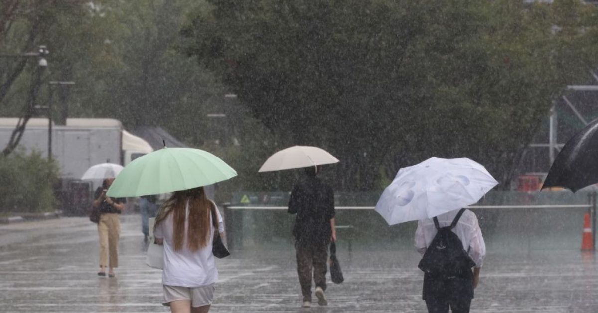 明日凌晨中部地区将迎强降雨……韩国行政安全部向9个市道紧急派遣现场情况管理官