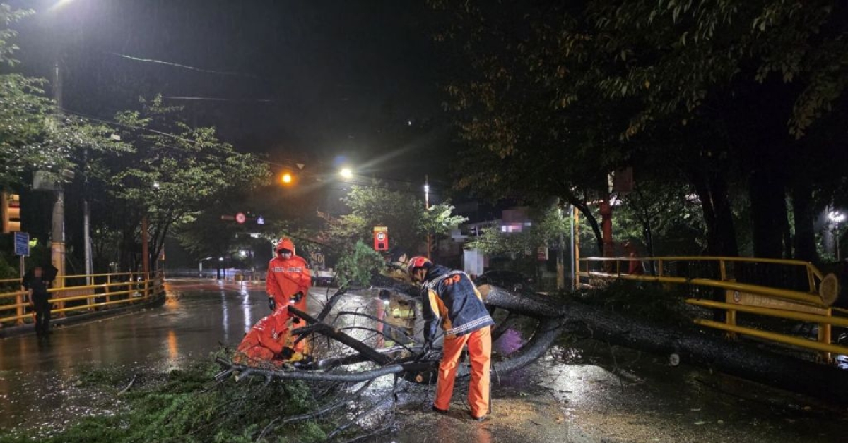 Level 1 Disaster Headquarters Activated Due to Heavy Rain in Southern Regions... About 130 Residents Evacuate in Geoje (Comprehensive)