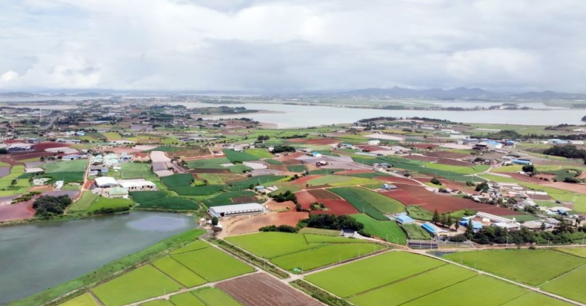漂泊12年的光州军用机场将迁至务安……迁址候选地确定
