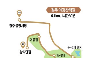 [하루만보]천년고도에서 '달빛 테라피'…경주 야경산책길