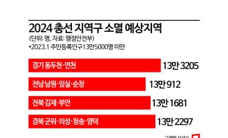 [선거구소멸]서울·부산·인천 선거구도 인구소멸 직격탄