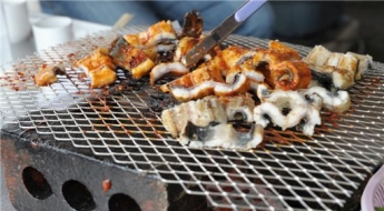 "여보, 장어값 대폭락이래" 외식하려고 했더니…어민들만 피눈물?