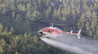 '고사율 100%' 소나무재선충병 확산 어쩌나