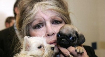 프랑스 배우 브리지트 바르도 별세…향년 91세