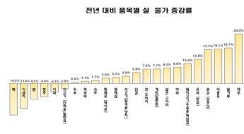 설 제수용품 구입비용 평균 28만4000원…3.7% 상승