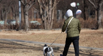 '완전 무료' 라더니 