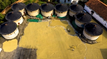 1월 세계식량가격 '곡물·유지류' 오르고, '육류·유제품·설탕' 내려