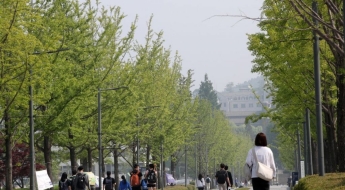 "SKY 붙었지만 안 가요"…수시 추가합격자 4667명 '5년새 최다'