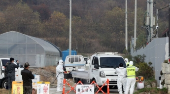 경기 연천 양돈농장에서 '아프리카돼지열병' 발생