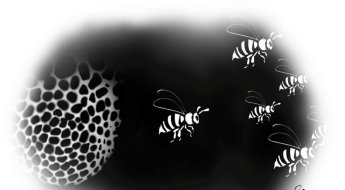 '꿀벌에 무슨 일이'…정부가 월동 대책반 꾸린 사연