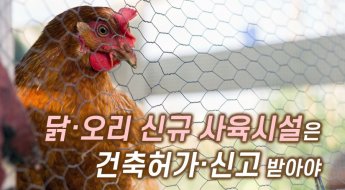 정부, 닭·오리 비닐하우스 신규사육 금지 재추진…