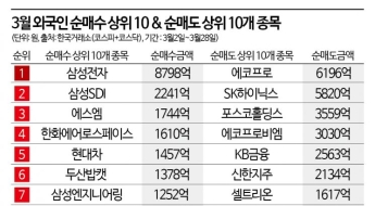 똑같은 반도체株?…외국인, 삼전 사고 하이닉스 팔아