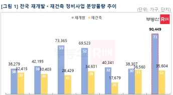 올해 재개발 분양 12만6000가구 쏟아진다…4년 만에 최대
