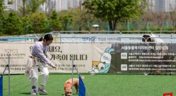 "세계서 가장 외로운 나라 한국"…산부인과 사라지고, 동물병원 들어섰다