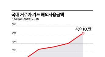 여행길·소비 확대에 결제액 늘지만…웃지못하는 카드업계