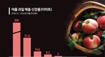 무더위에 과일 매출 ‘껑충’…복숭아·자두↑ 토마토·포도↓
