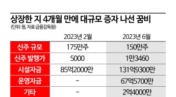 [자금 조달]꿈비, 토지가격 상승했다고 4개월 만에 증자