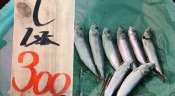 中, 日 수산물 전면 방사선 검사