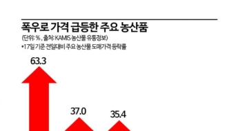 기록적 폭우에 농산물 가격 하룻새 60% 급등…밥상물가 '초비상'
