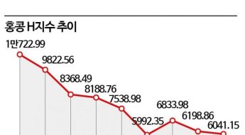 금감원, '원금손실' 홍콩ELS판매 증권사 전수조사