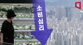 소비심리 악화, 집값 전망 '뚝'…부동산 불패 '강남 아파트'도 하락거래