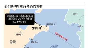 압도적 세계 1위 중국…전남서 500㎞ 떨어진 韓공략 전초기지 정체[국산 해상풍력 위기]⑤