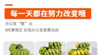 녹색 바나나를 금지합니다…직장인들 '애착 화분'으로 인기[베이징 다이어리]