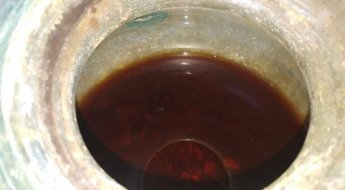 유골 항아리에 붉은 액체…'2000년 넘은 로마 와인' 스페인서 발견