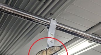 사람 머리만한 나비가 손잡이에…일본 지하철에 등장한 불청객 