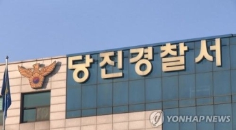 설날 땔감 구하려…벌목 중 나무에 부딪힌 80대 사망
