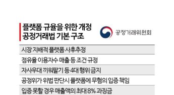 사전규제 같은 대형플랫폼 사후추정...역차별 우려 여전