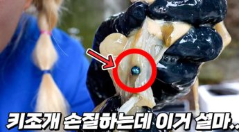 키조개에서 흑진주 발견한 유튜버 "로또 맞은 기분"