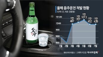 "그냥 죽일 걸 그랬다" 음주운전 하다 승용차 박고 막말 쏟아낸 BJ