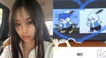 뉴진스 혜인, ‘민주당 버니즈’로 프로필 변경…'정치색' 논란 일자 결국 삭제