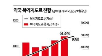 [단독] 지난해 약국 복약지도료 6000억 돌파…2년간 38% 폭증