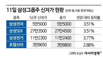 삼성그룹株 수난시대, 줄줄이 신저가에 하루 새 시총 12조 증발